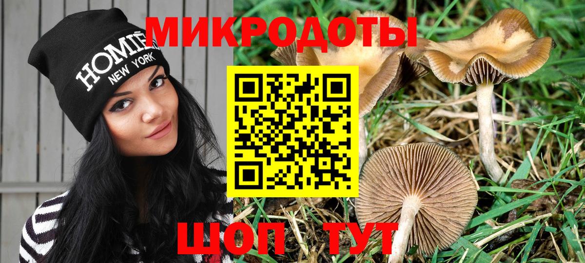 Тайшет  Галлюциногенные грибы GOLDEN TEACHER  Вход с VPN 