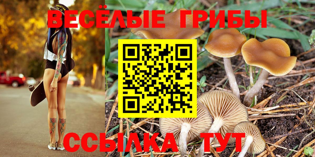 ГАШИШ  A-PVP СОЛЬ   Канабис  Вход с VPN  ЭКСТАЗИ  КОКАИН  ГАШ  АМФЕТАМИН   Тайшет  Где найти наркотики?  Меф МЯУ МЯУ кристаллы 